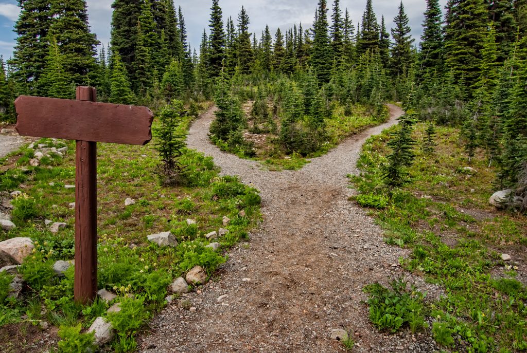 Path leading to two different options
