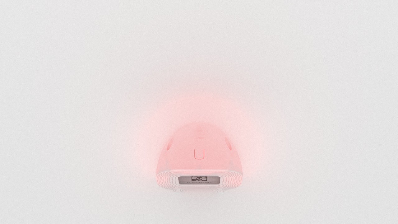 Close-up of a dark green leaf showing its textured surface and central vein against a muted background.