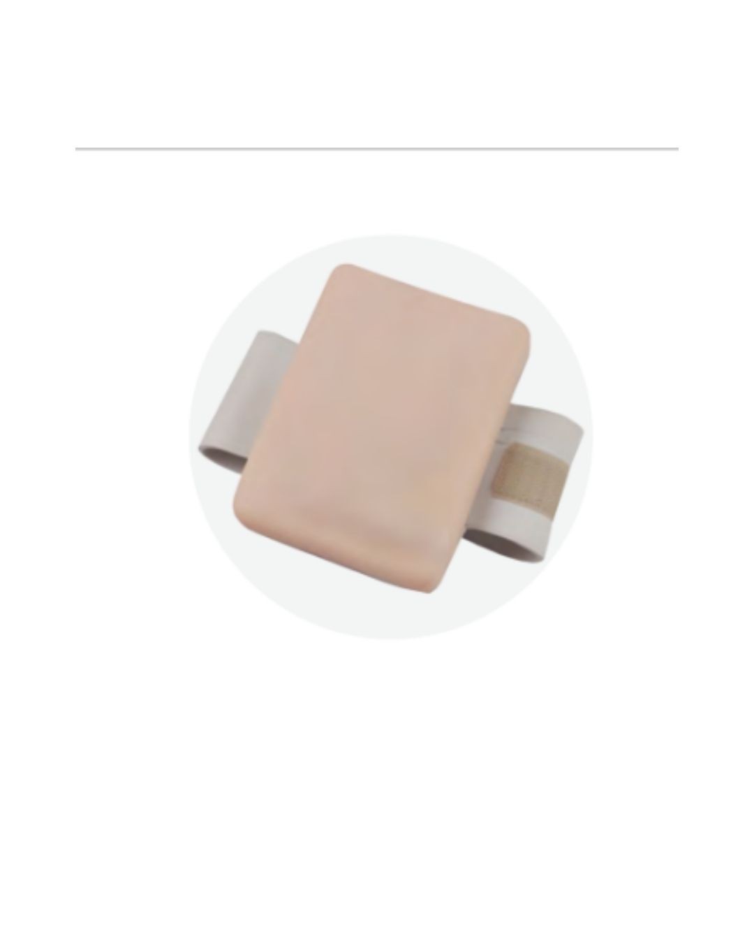 Opisthenar Intravenous Injection Model