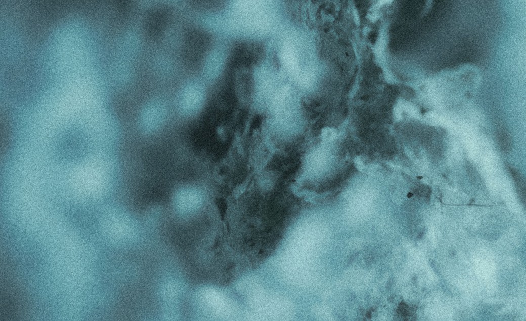 woman in blue tank top standing beside white wall