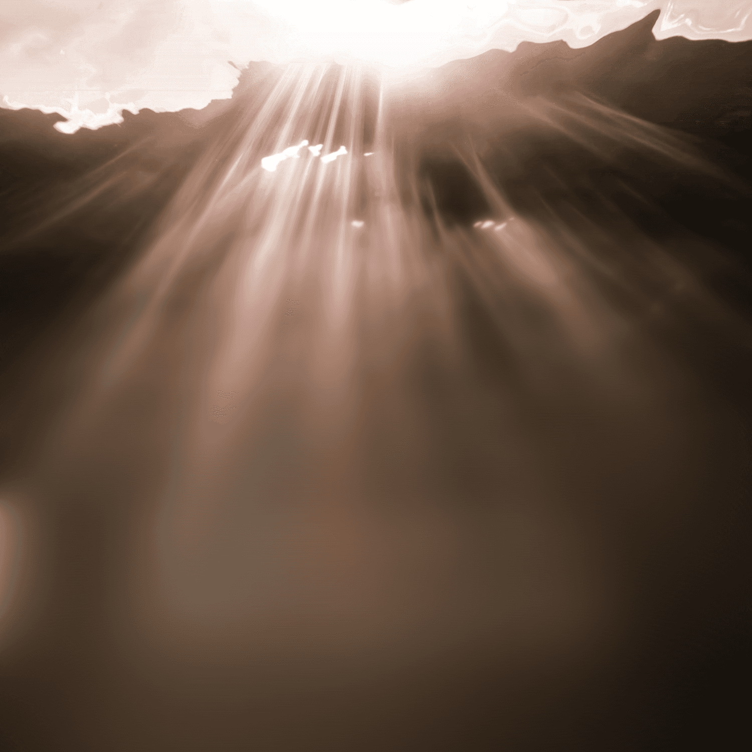 Reveal in March 2026