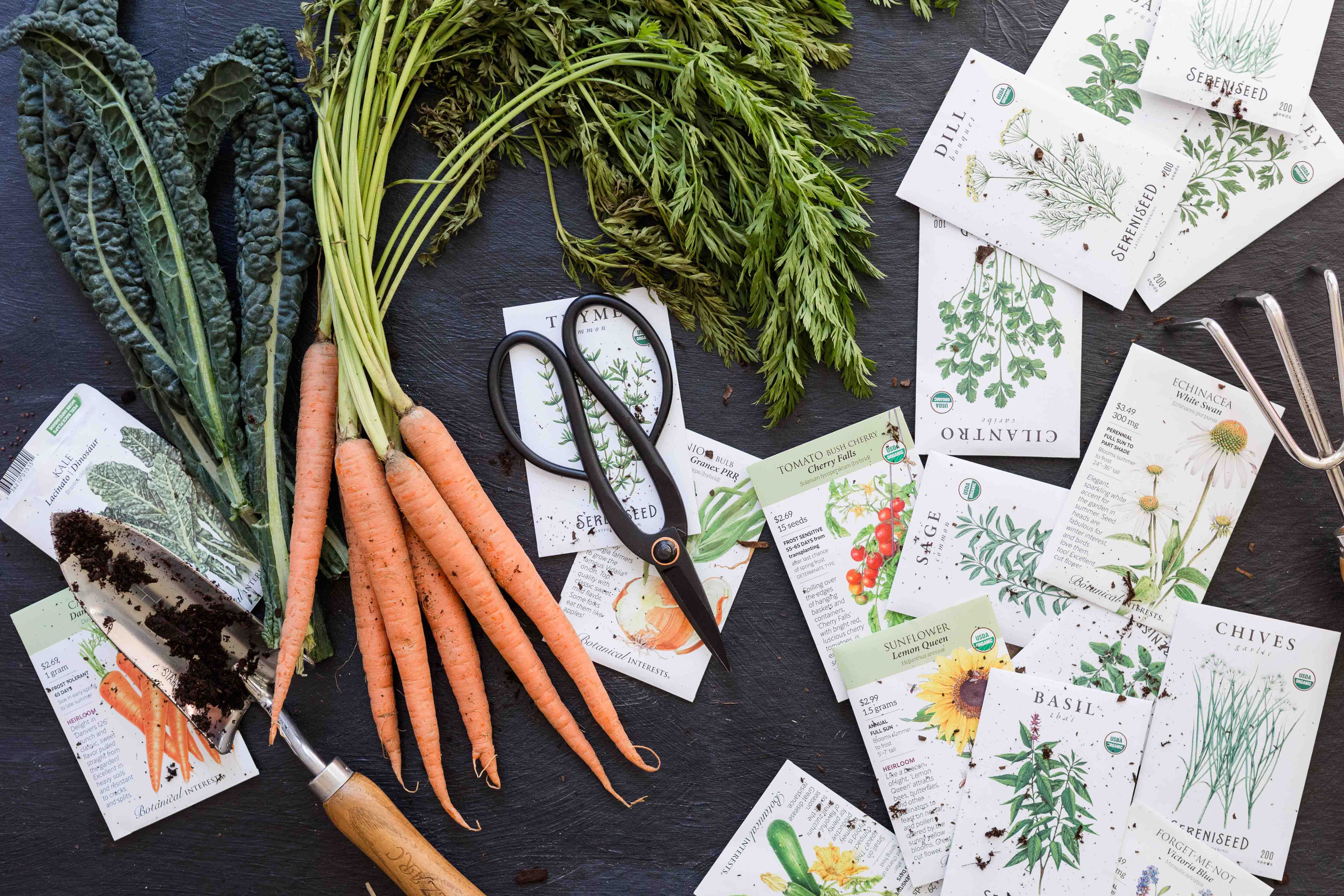 Gardening image of seed packets, fresh carrots, and a shovel with dirt on it.