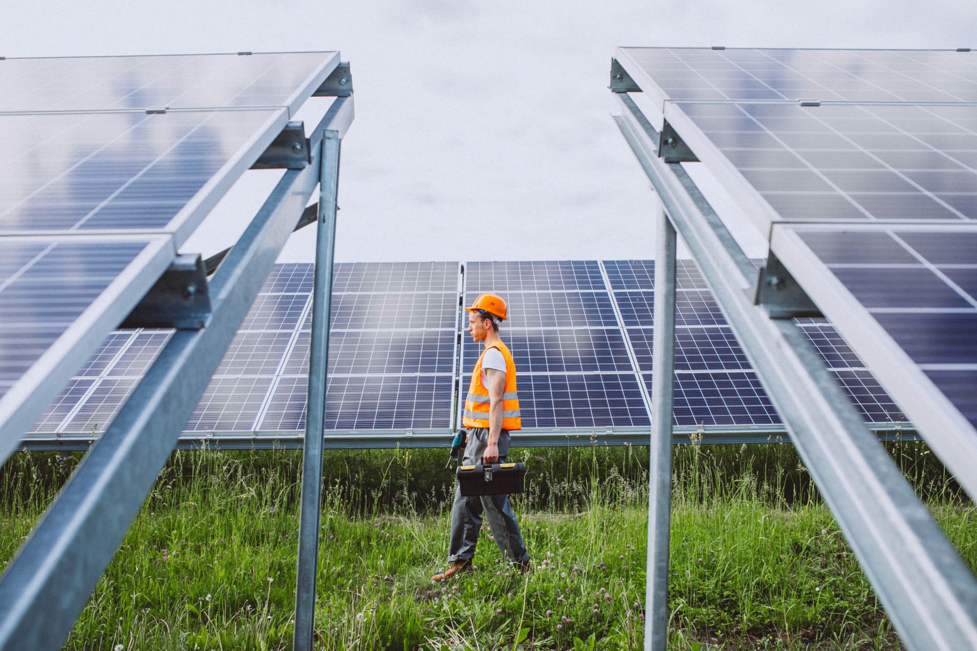 solar panels