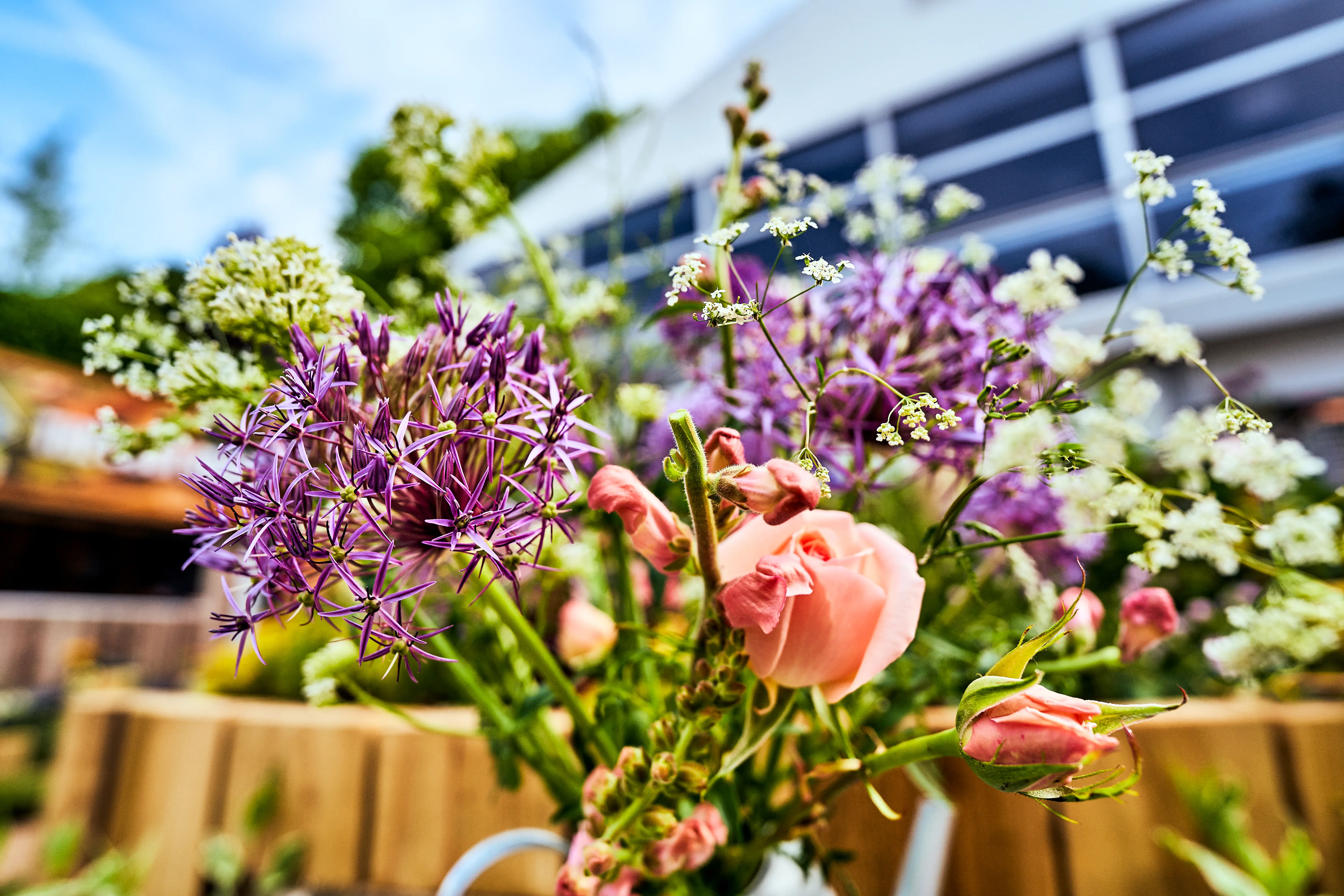 A colorful display of blooming flowers in foreground with a bright sky and building in the background.