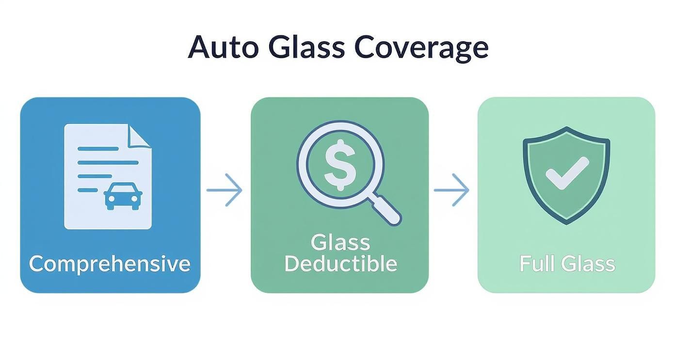 Infographic about cracked windshield repair insurance