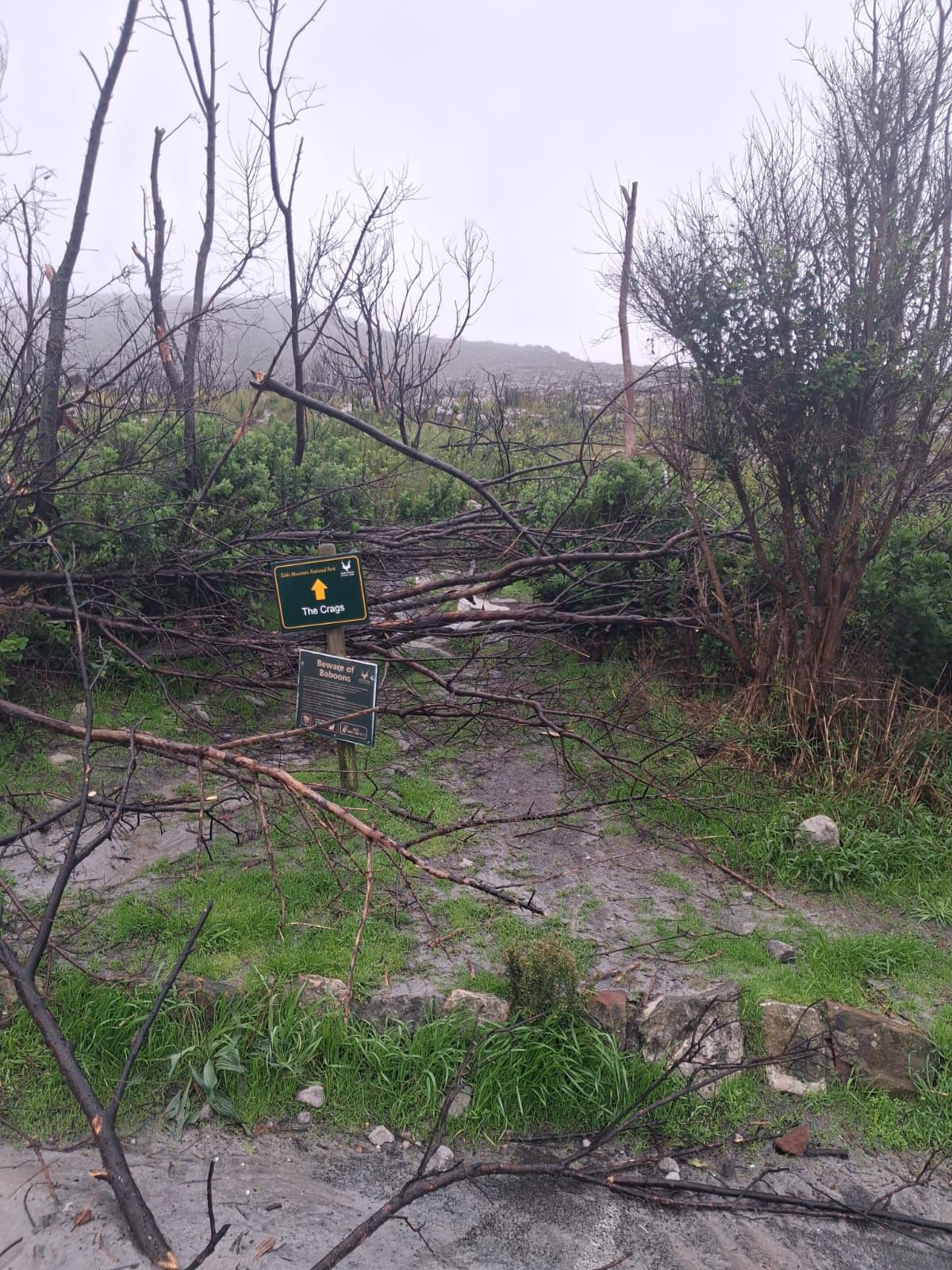 Photo:SANParks temporarily closes parts of Table Mountain National Park following severe weather – South African Daily