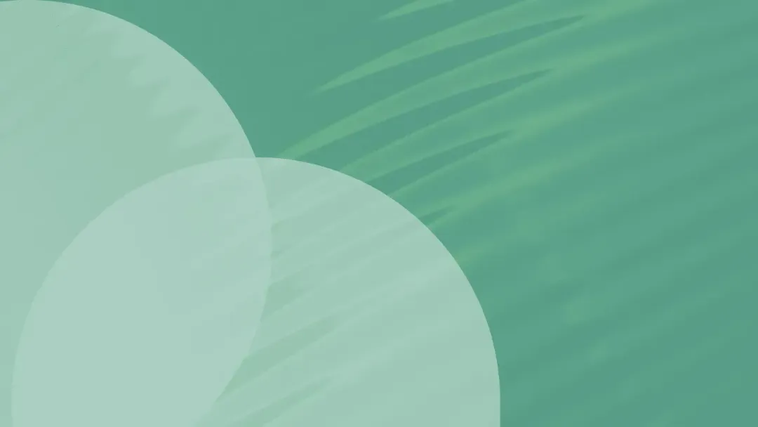Abstrakter, hellgrüner Hintergrund mit weichen, halbtransparenten Kreisformen und einer subtilen Wellenstruktur im modernen Corporate Design.