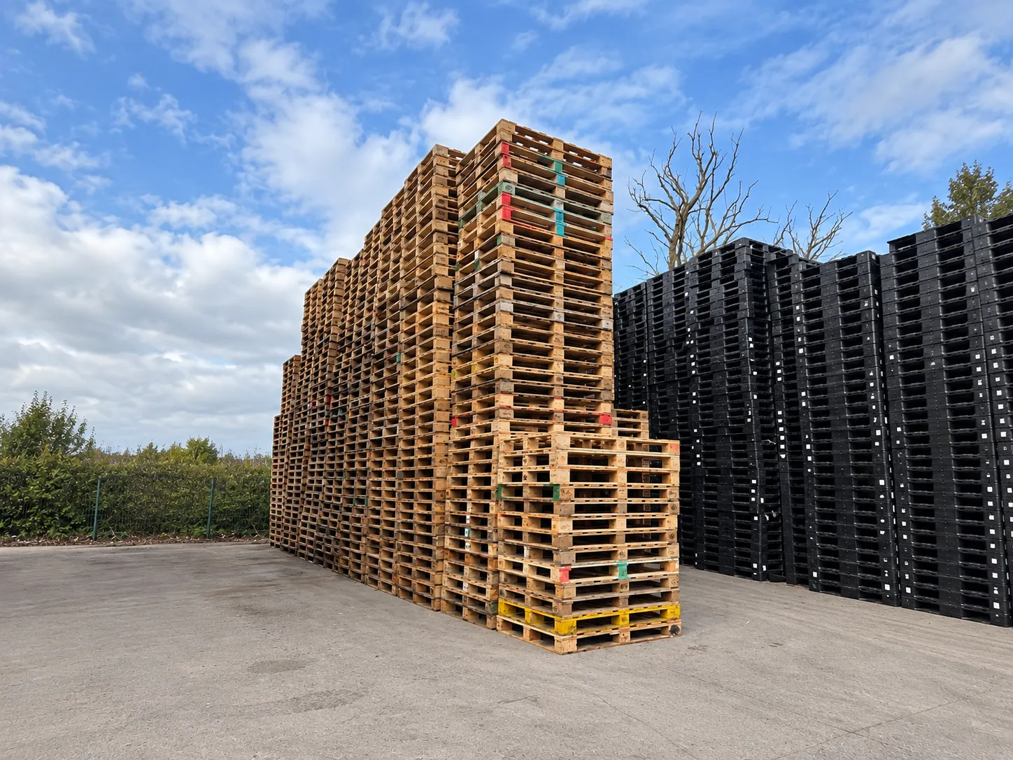 Wooden pallets stacked and sorted for business use