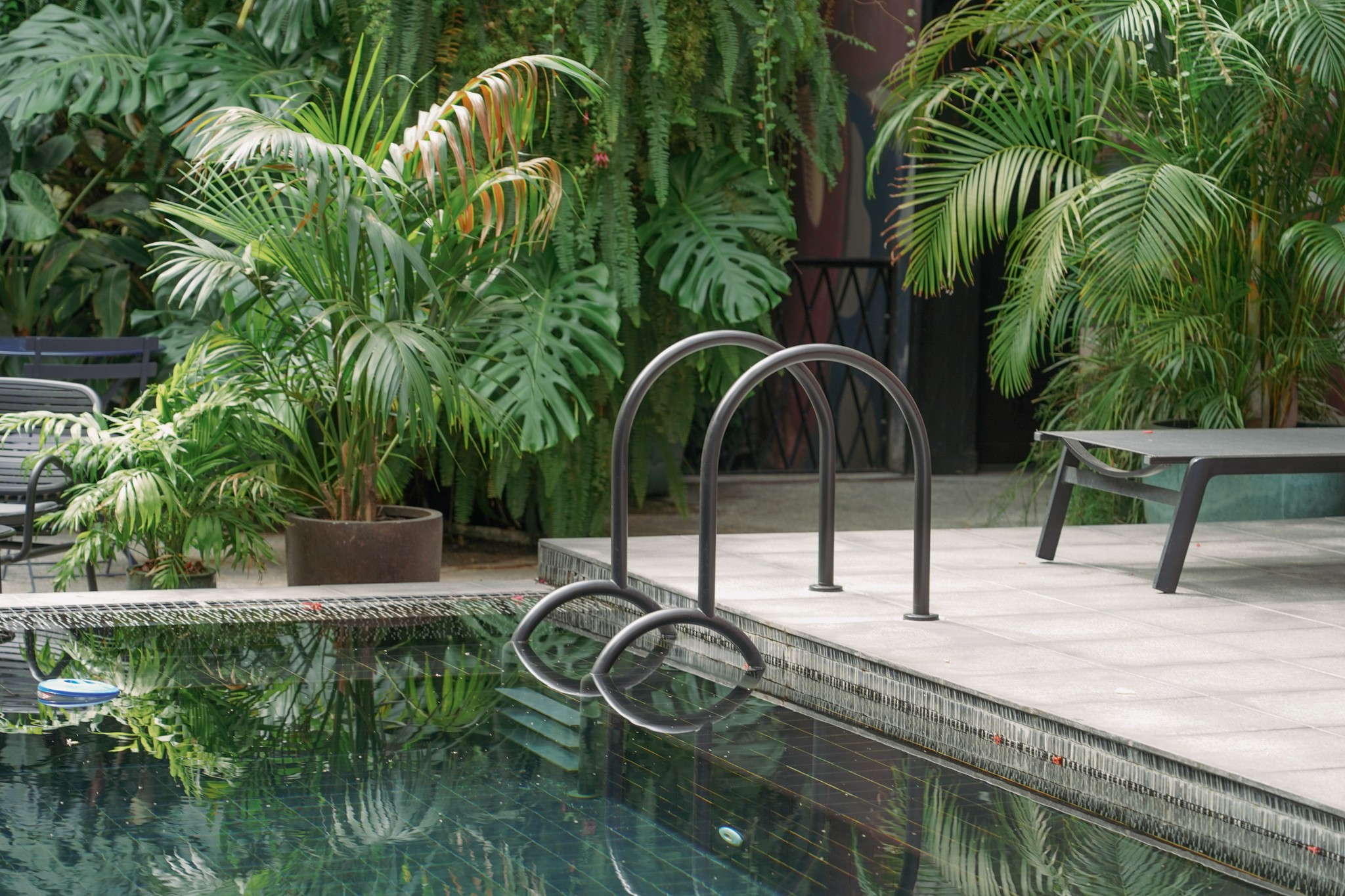 Pileta con vegetación alrededor