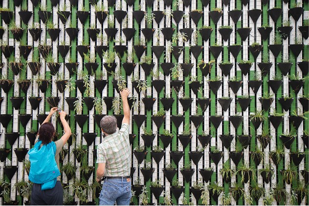 Two people tending plants reflecting the community work captured in Apollo’s Opportunity Foundation report