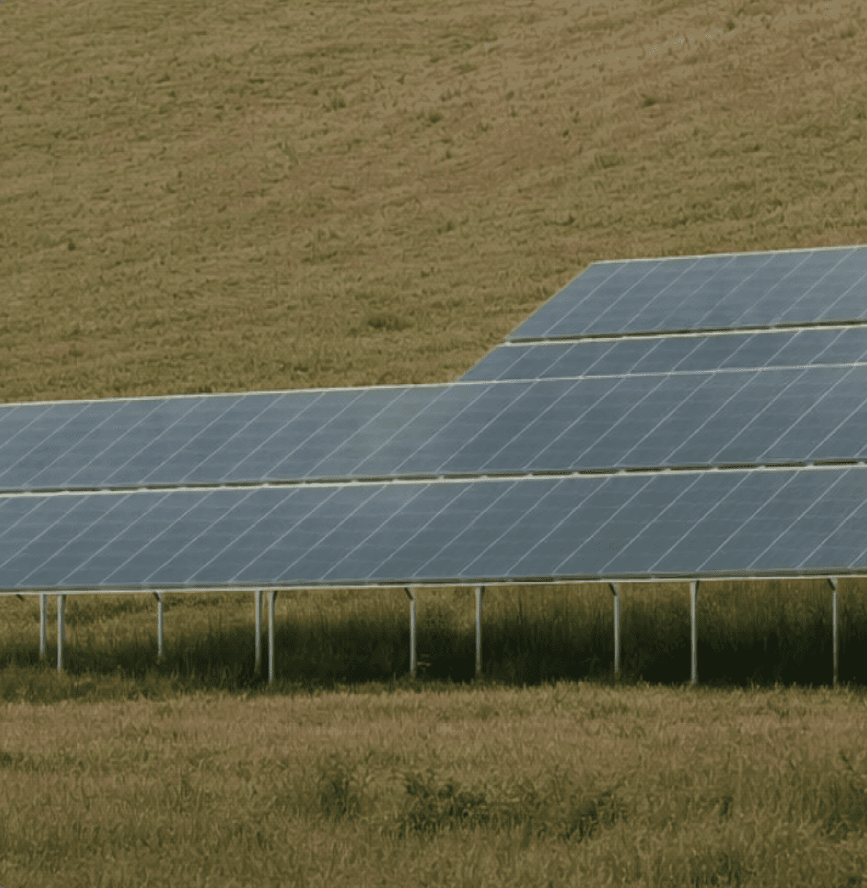several rows of solar panels on a roof