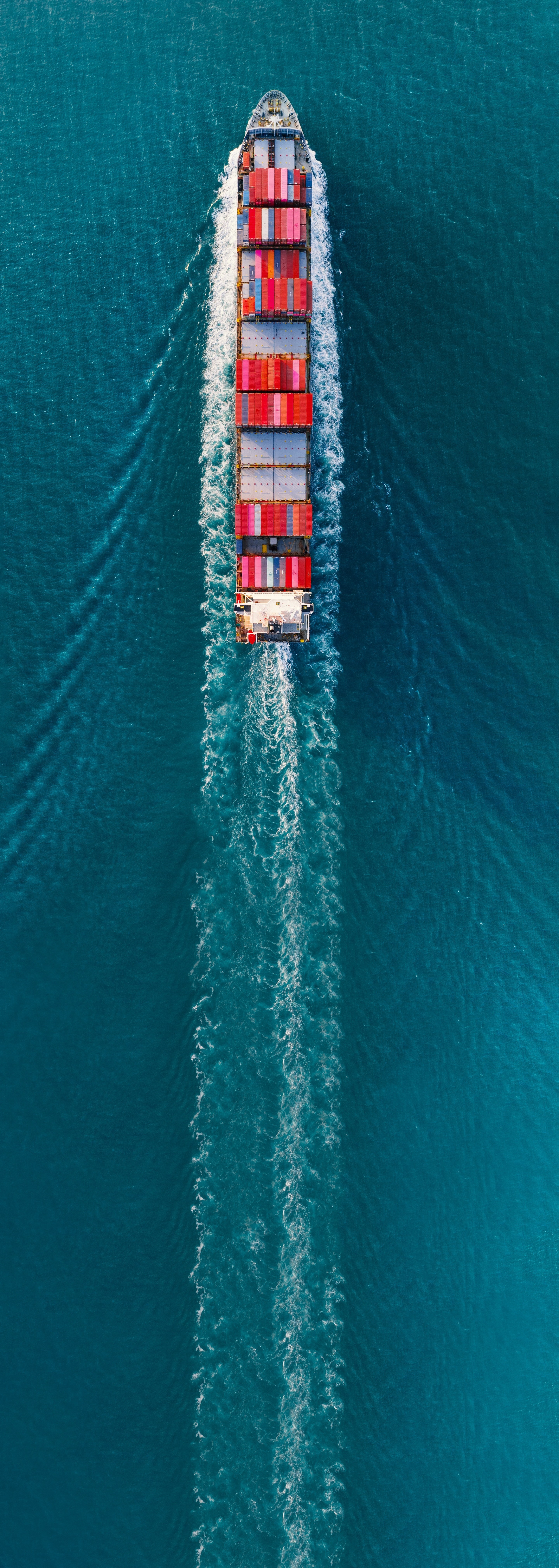 group of people using laptop computer