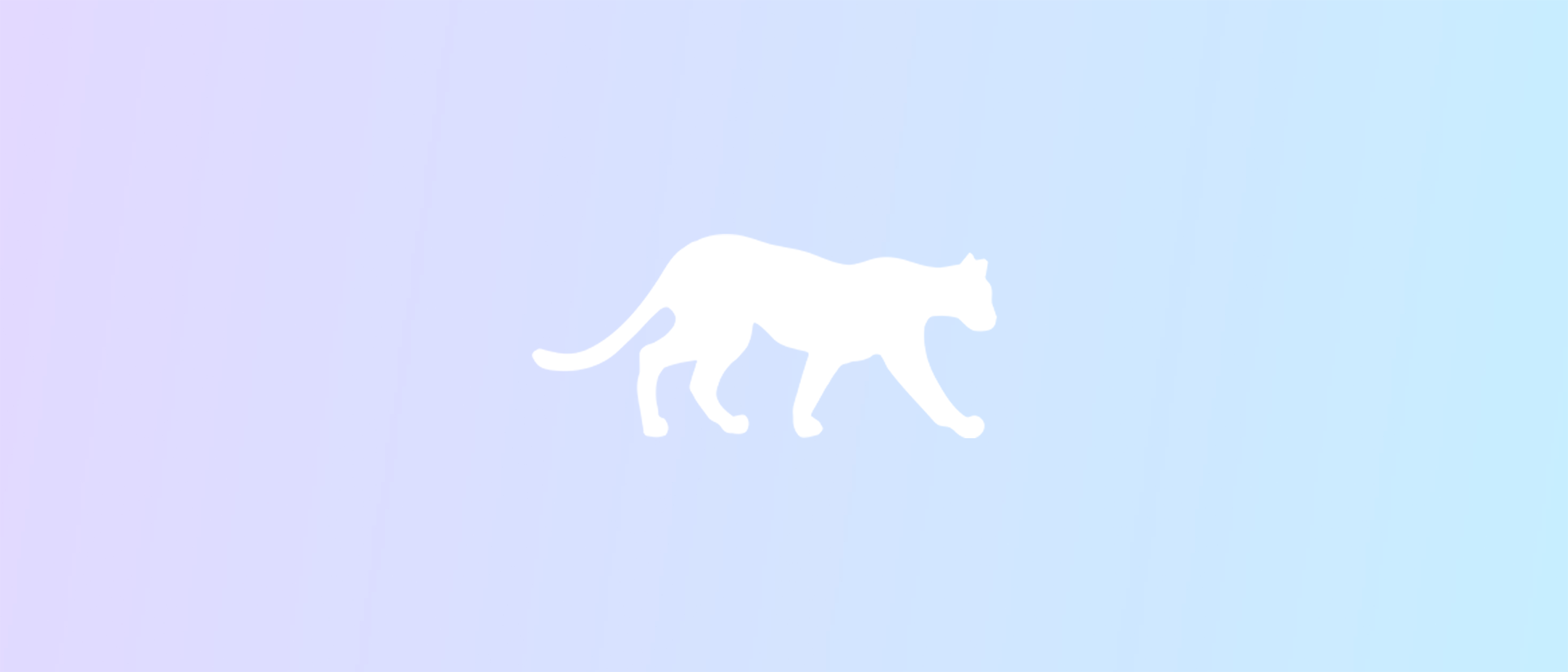 Leopard.FYI: Community & Jobs for Women & Non-Binary Engineers