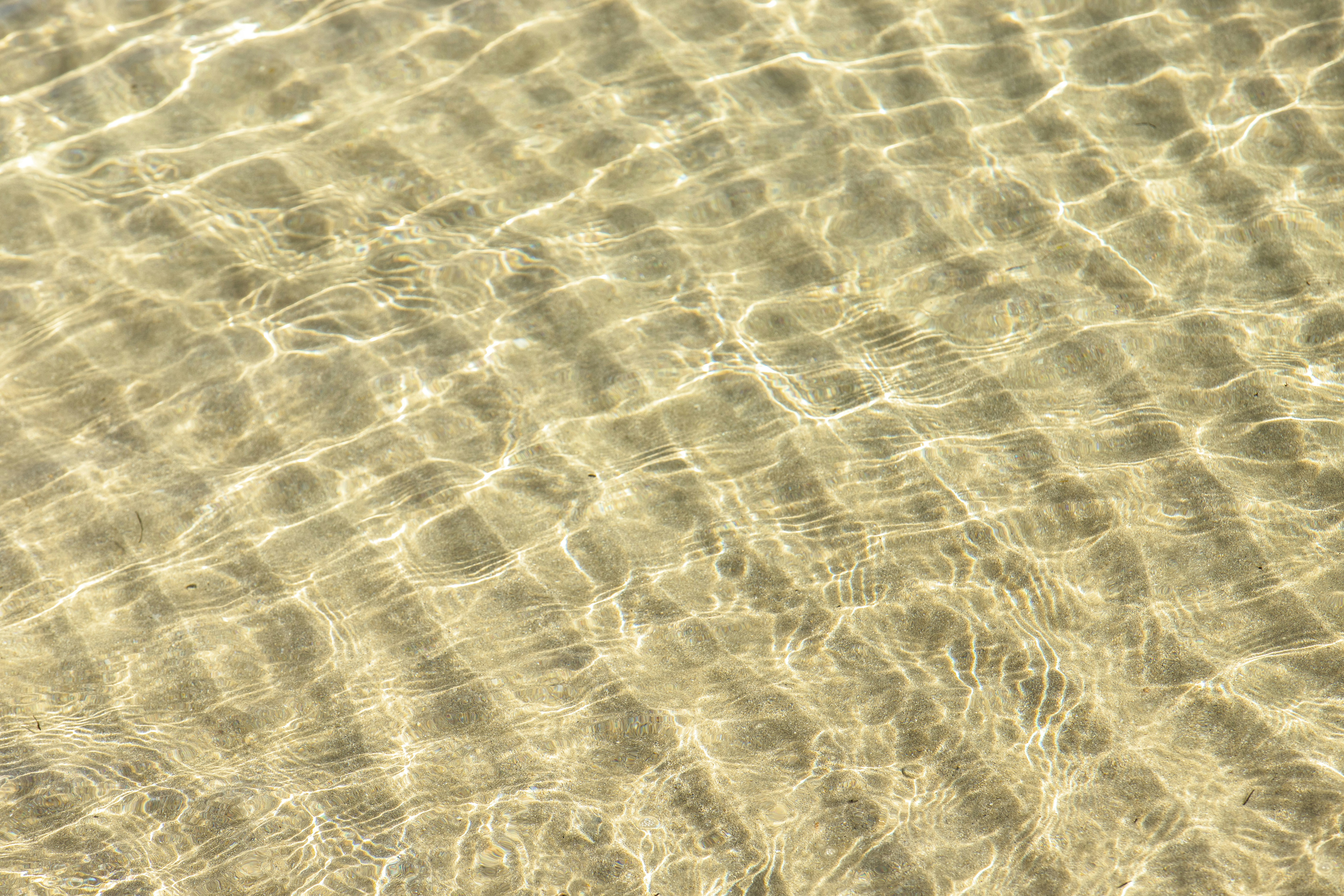 Group of men surfing