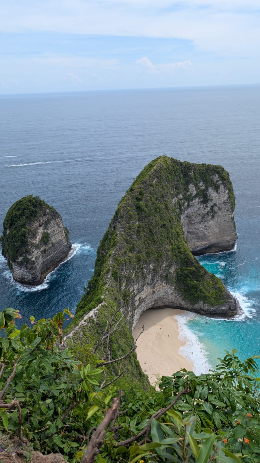 woman looking at brown giraffe with reflection on water