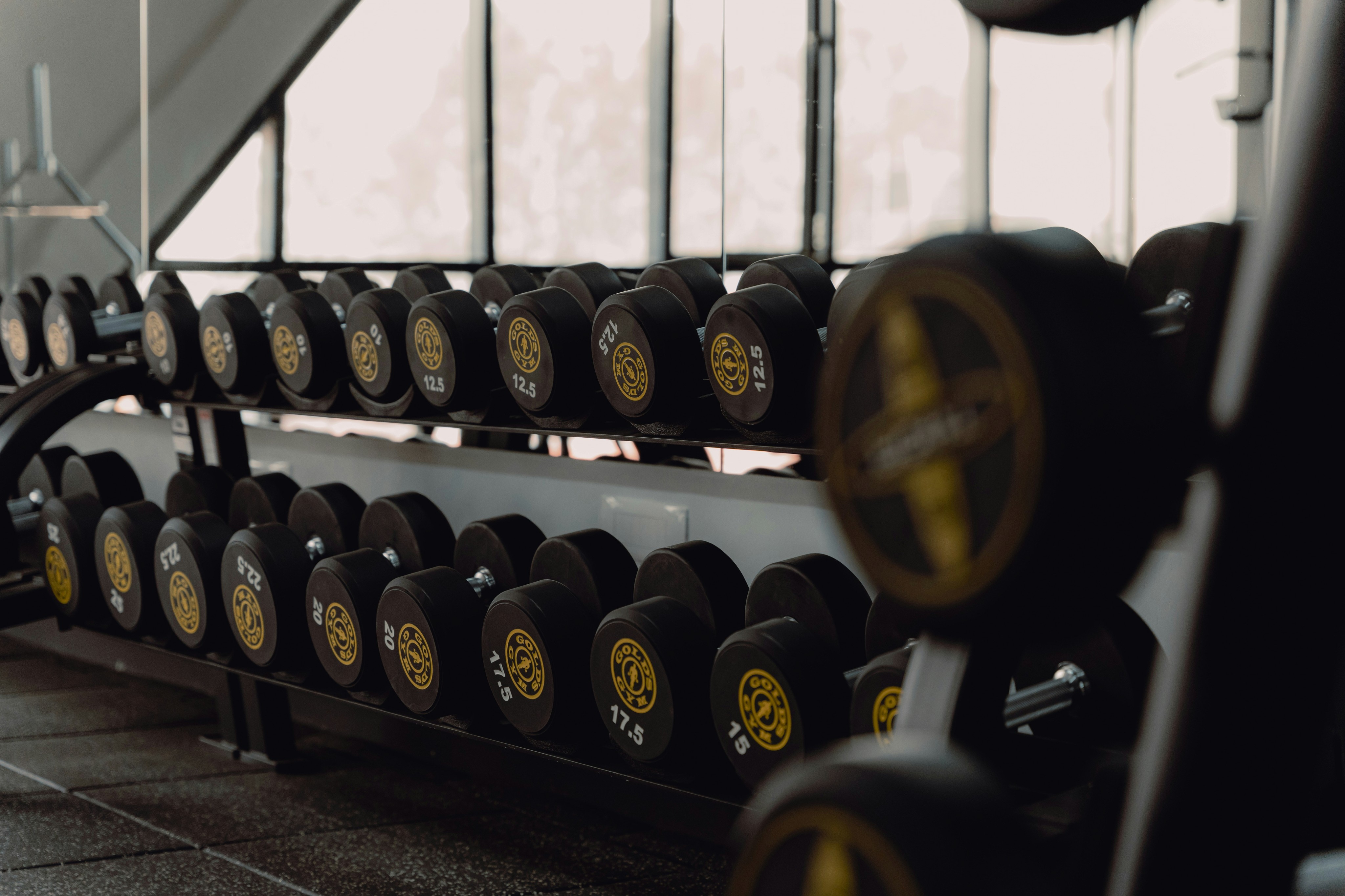 A row of dumbbells in a gym