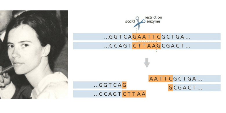 Daisy Roulland-Dussoix