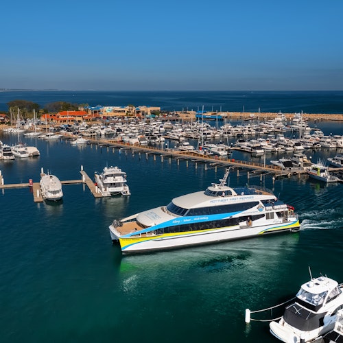 与Rottnest快速轮渡的渡轮接送服务