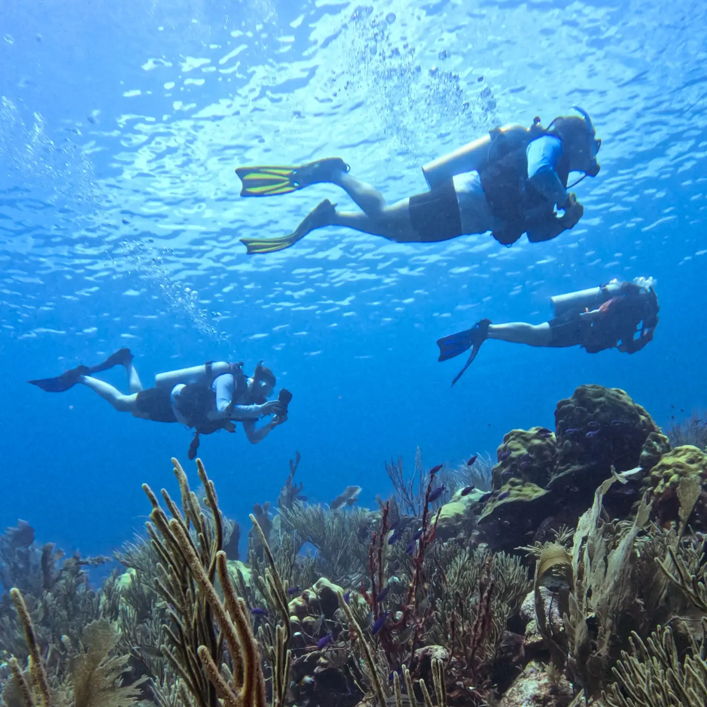 Group Diving in Bonaire