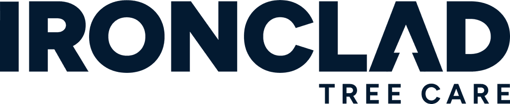 ironclad text logo