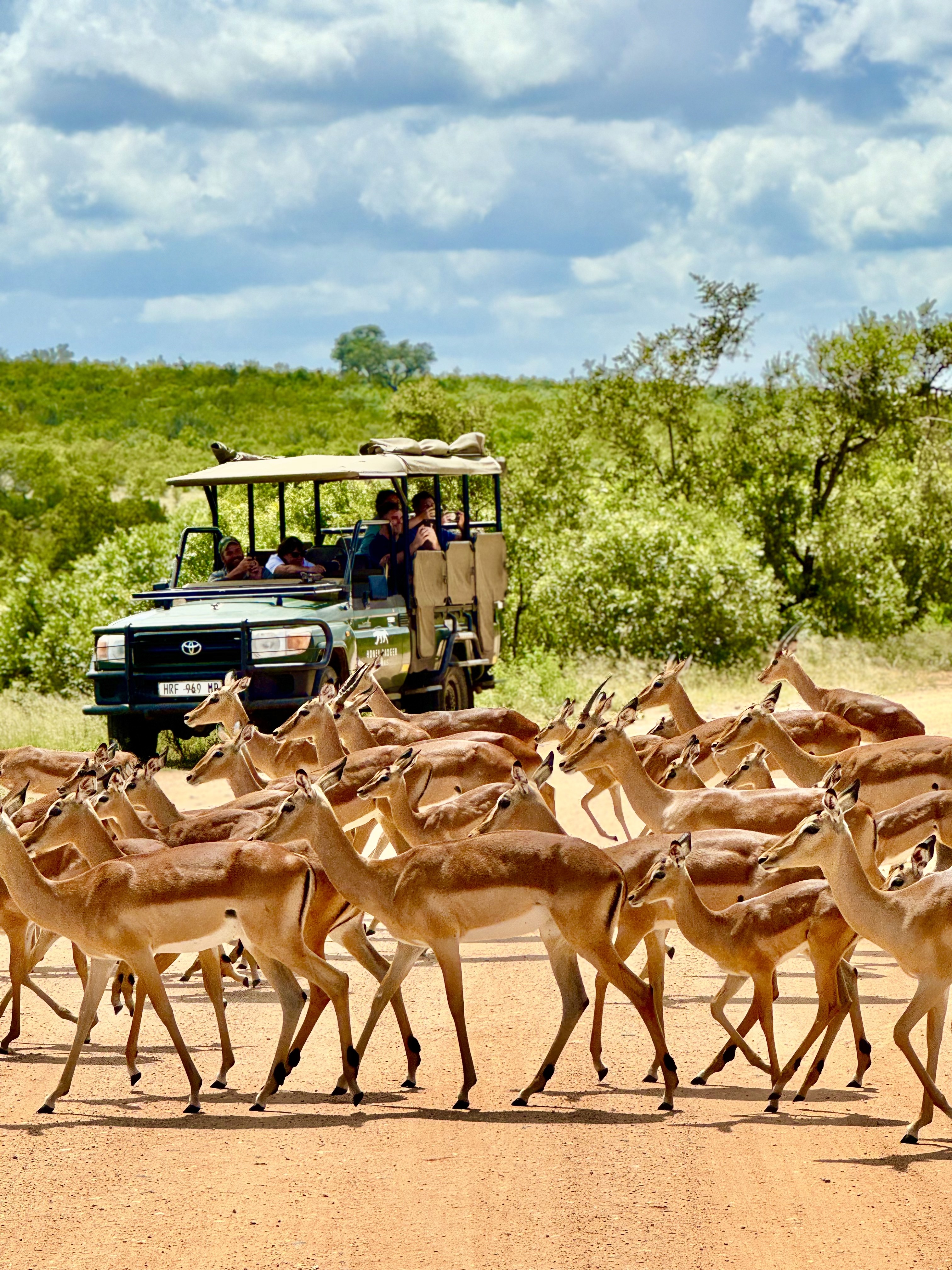 Scenic desert landscape with rocky hills and warm evening light in AlUla.