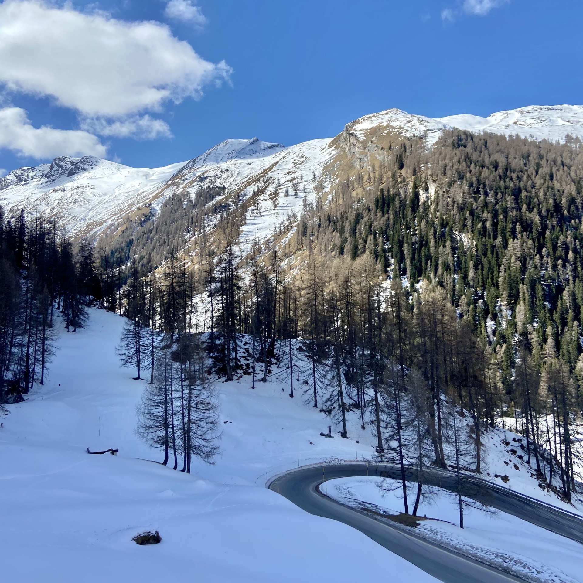 Snow secene in the Swiss Alps