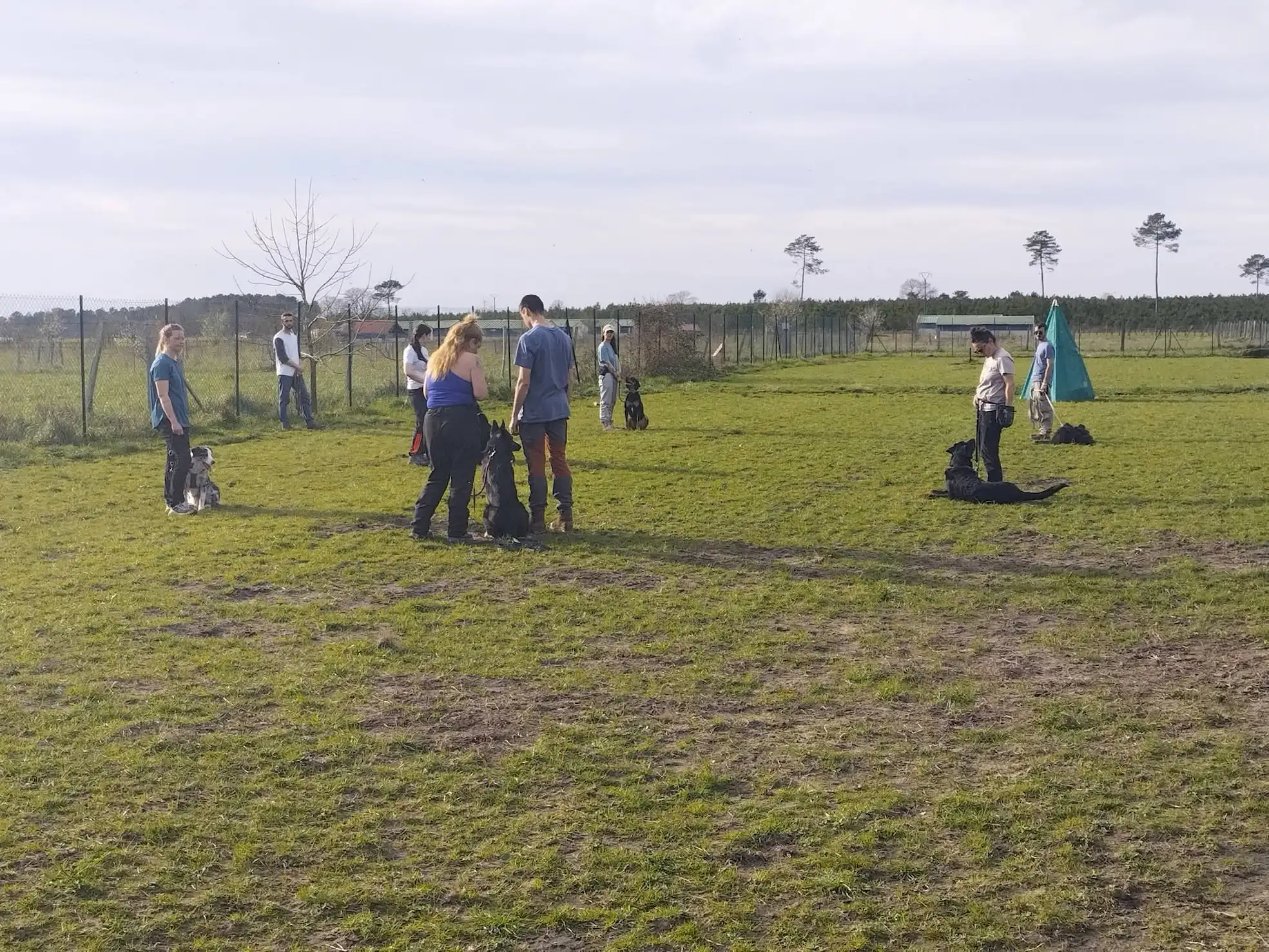 plusiurs propriétaire avec leurs chien fond un court d'education canine en collectif sur un terrain d'entrainement