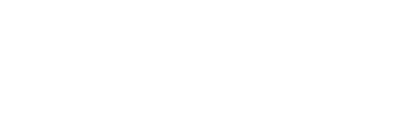 VUBS logo