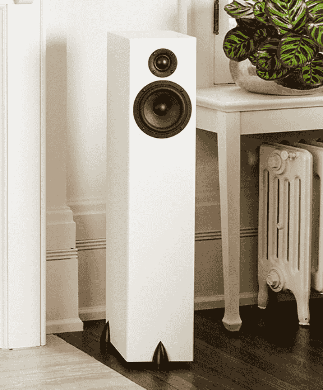 Totem Bison Lifestyle - LE STUDIO HIFI