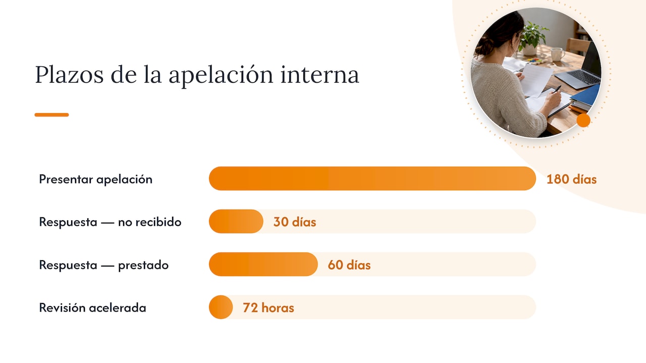 Pasos prácticos para presentar una apelación interna — overview diagram