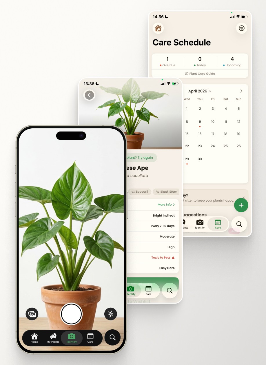 App screens of a plant care app named PlantHint