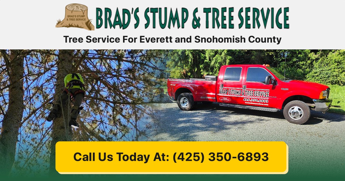 Brad's Stump & Tree Service