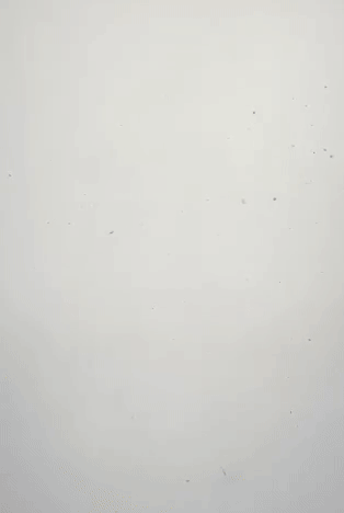 Image of research overview