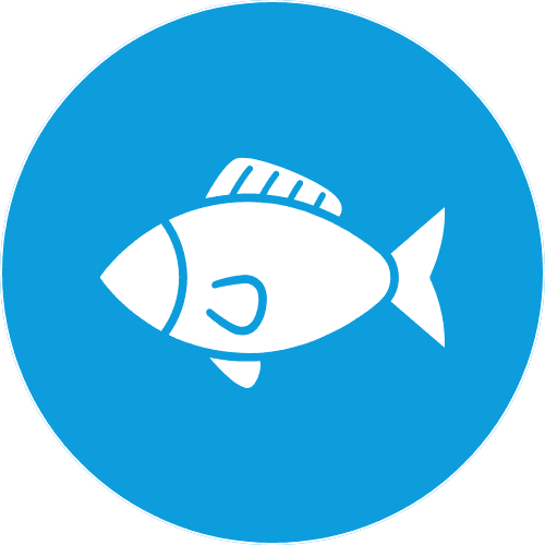 Aqua Icon