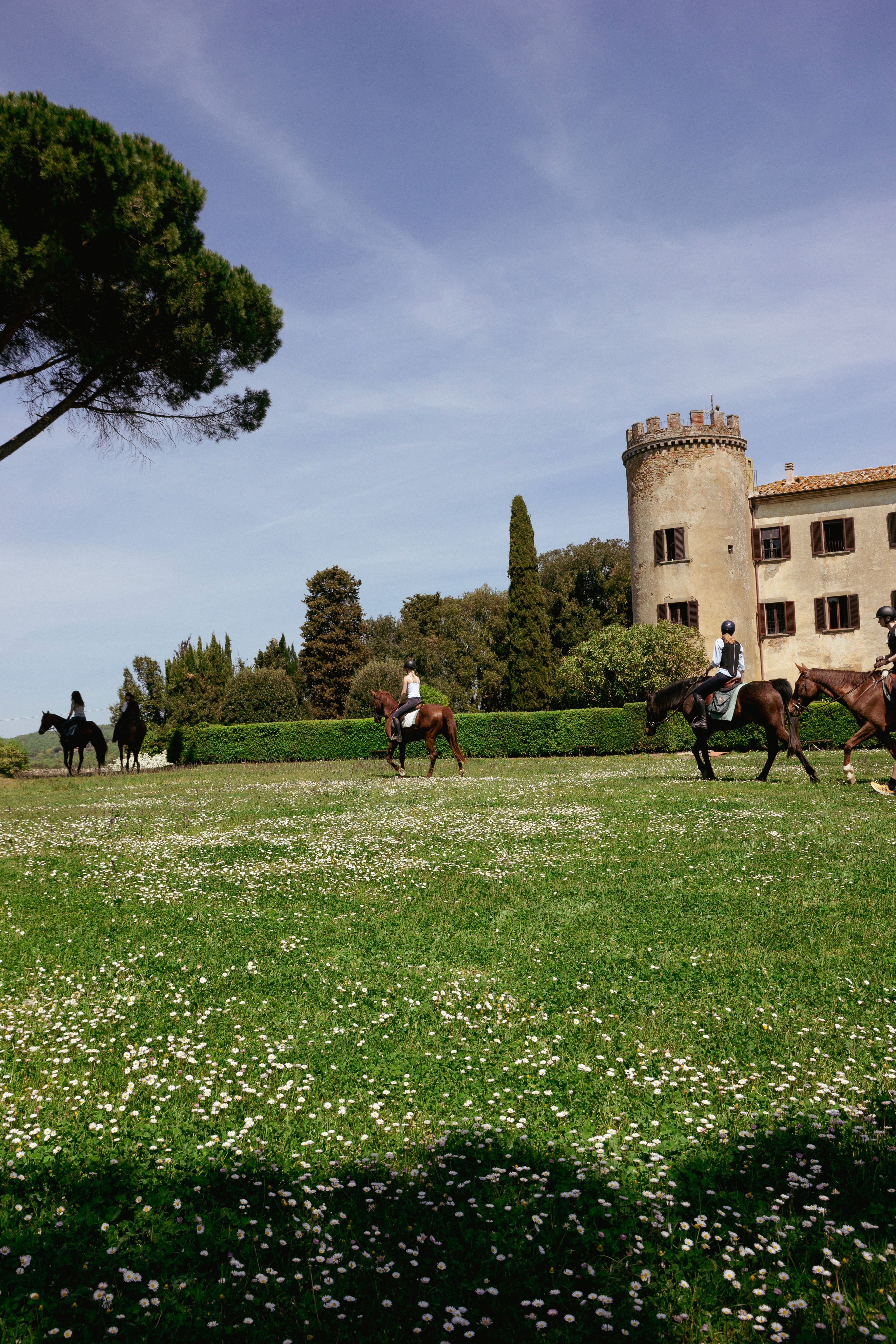 horses and castle