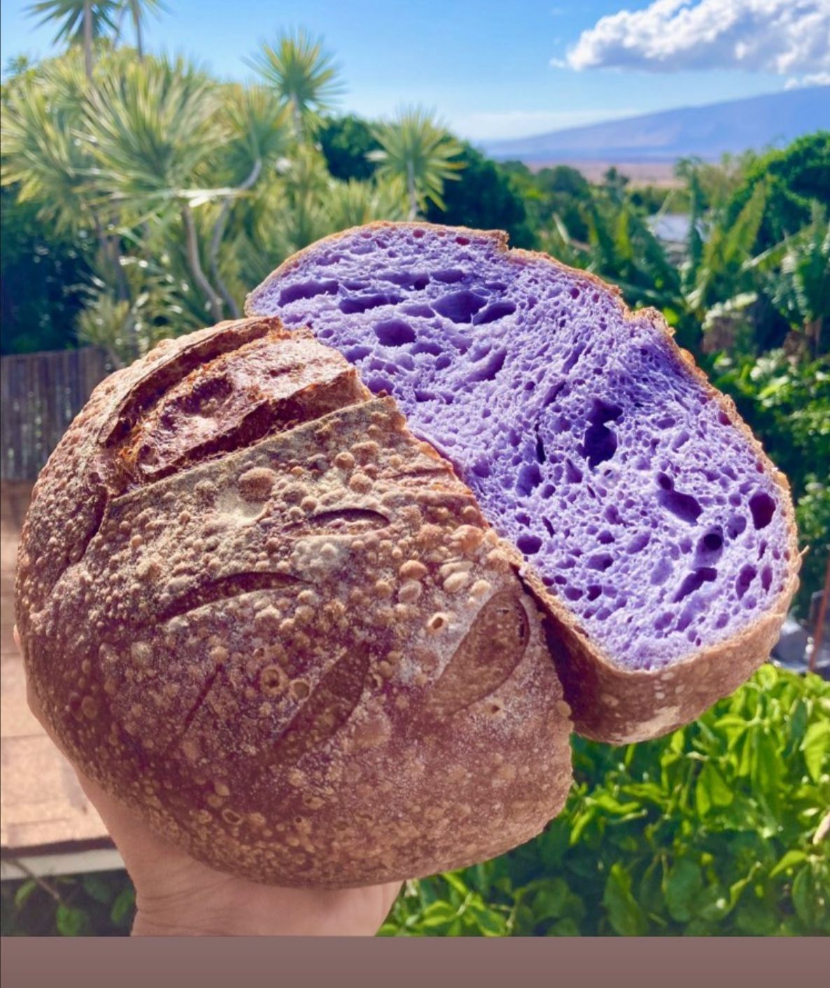 skin care products in the woods