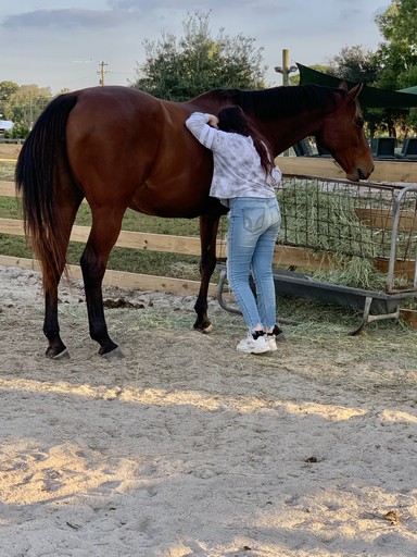 teenager hugging a large brown horse on the Tomorrow's Rainbow Mini ranch while receiving equine-assisted psycotherapy