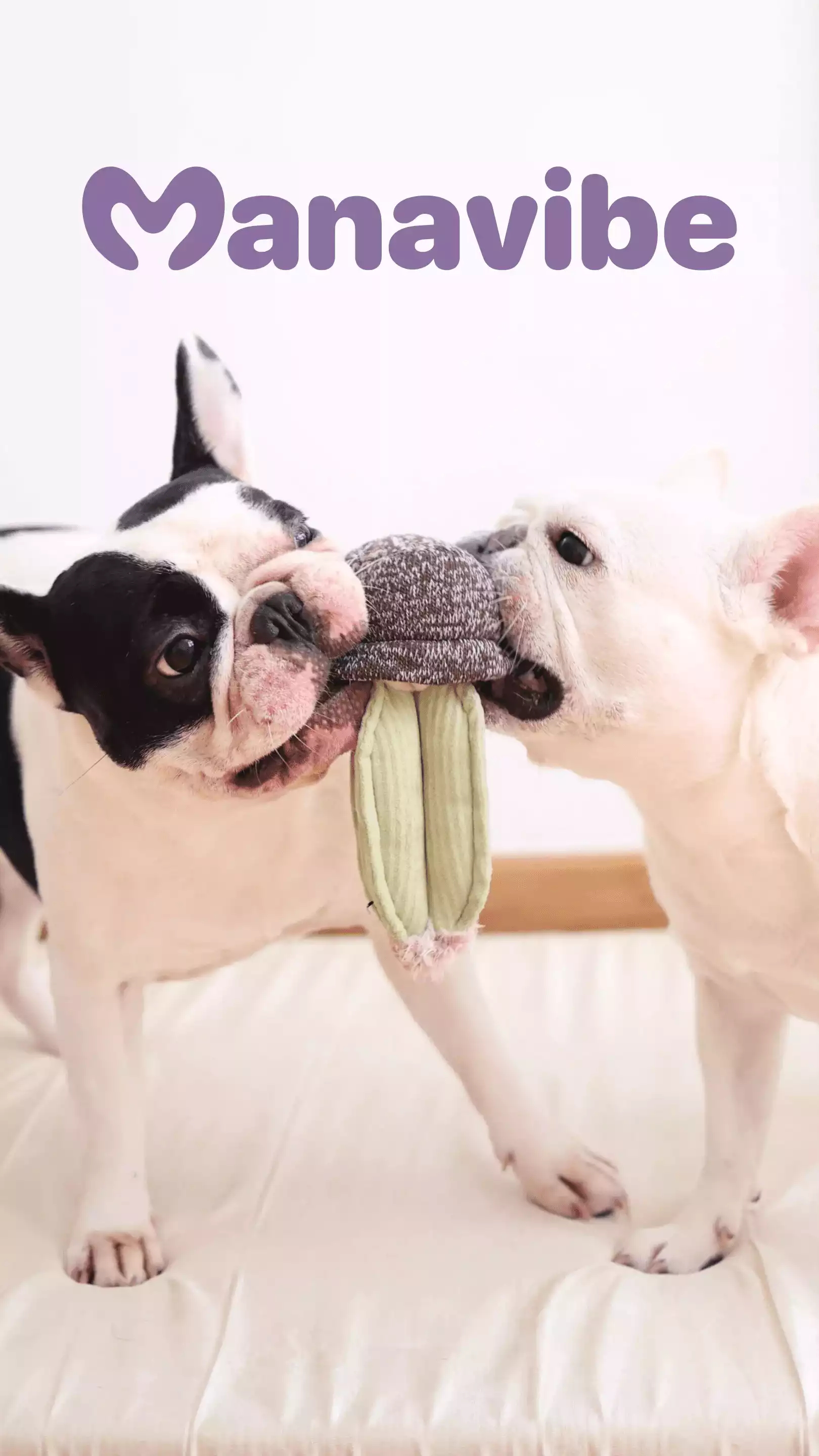 Logo Manavibe créé par Coralie De Almeida, brand designer secteur animalier