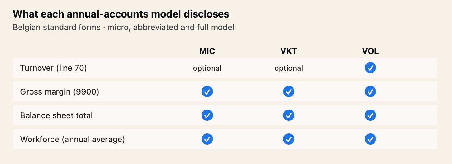 Micro and abbreviated models: turnover is optional, gross margin is mandatory. Full model: turnover is a standard line. Balance sheet total and workforce are present on all three.