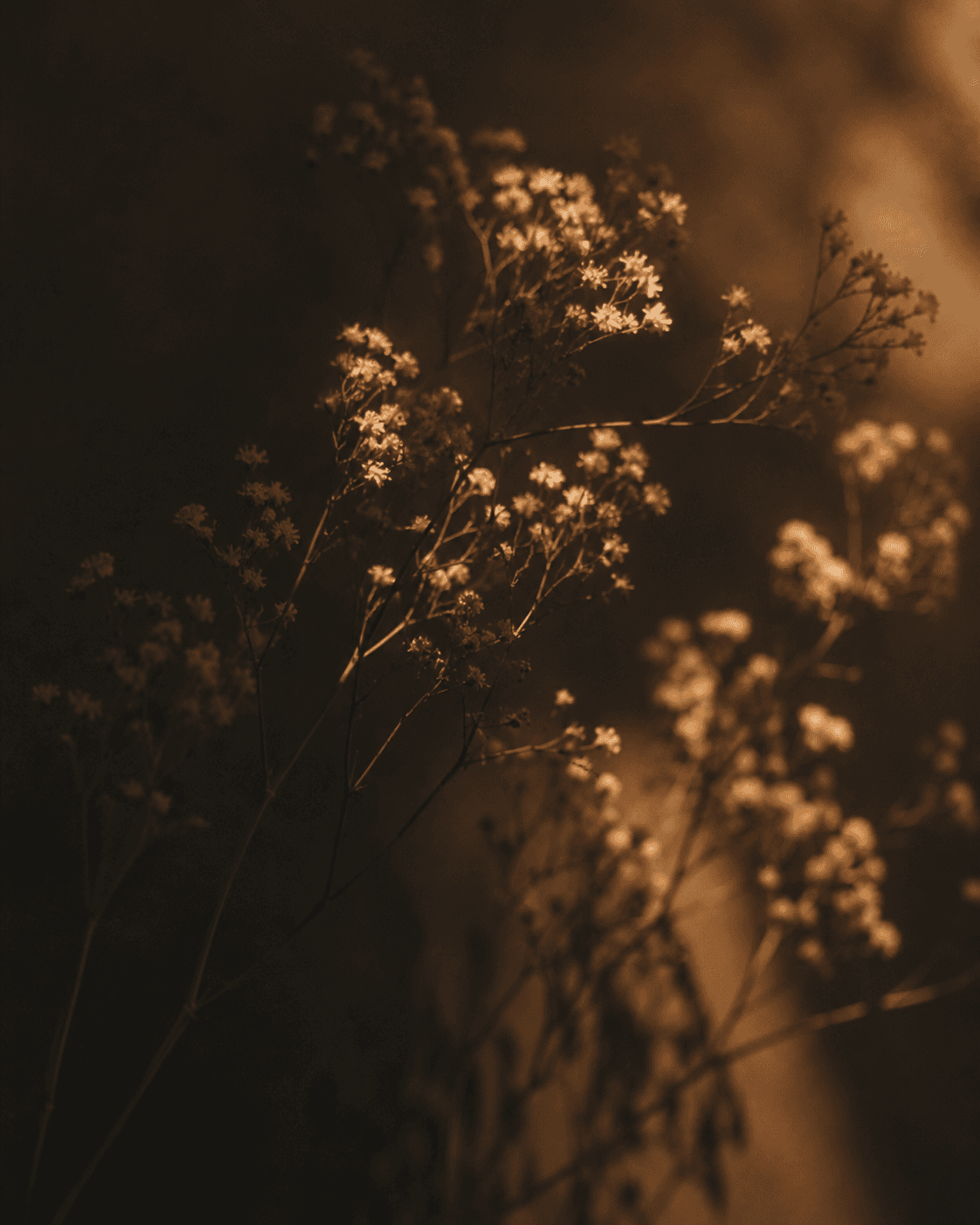 dancing-shadows