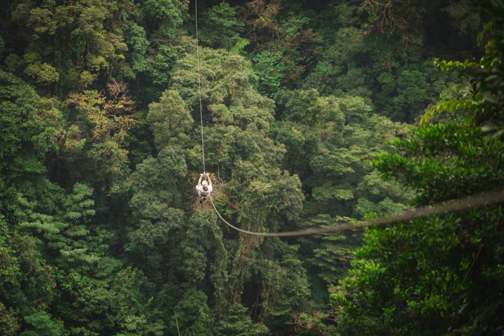 ziplining across canopy