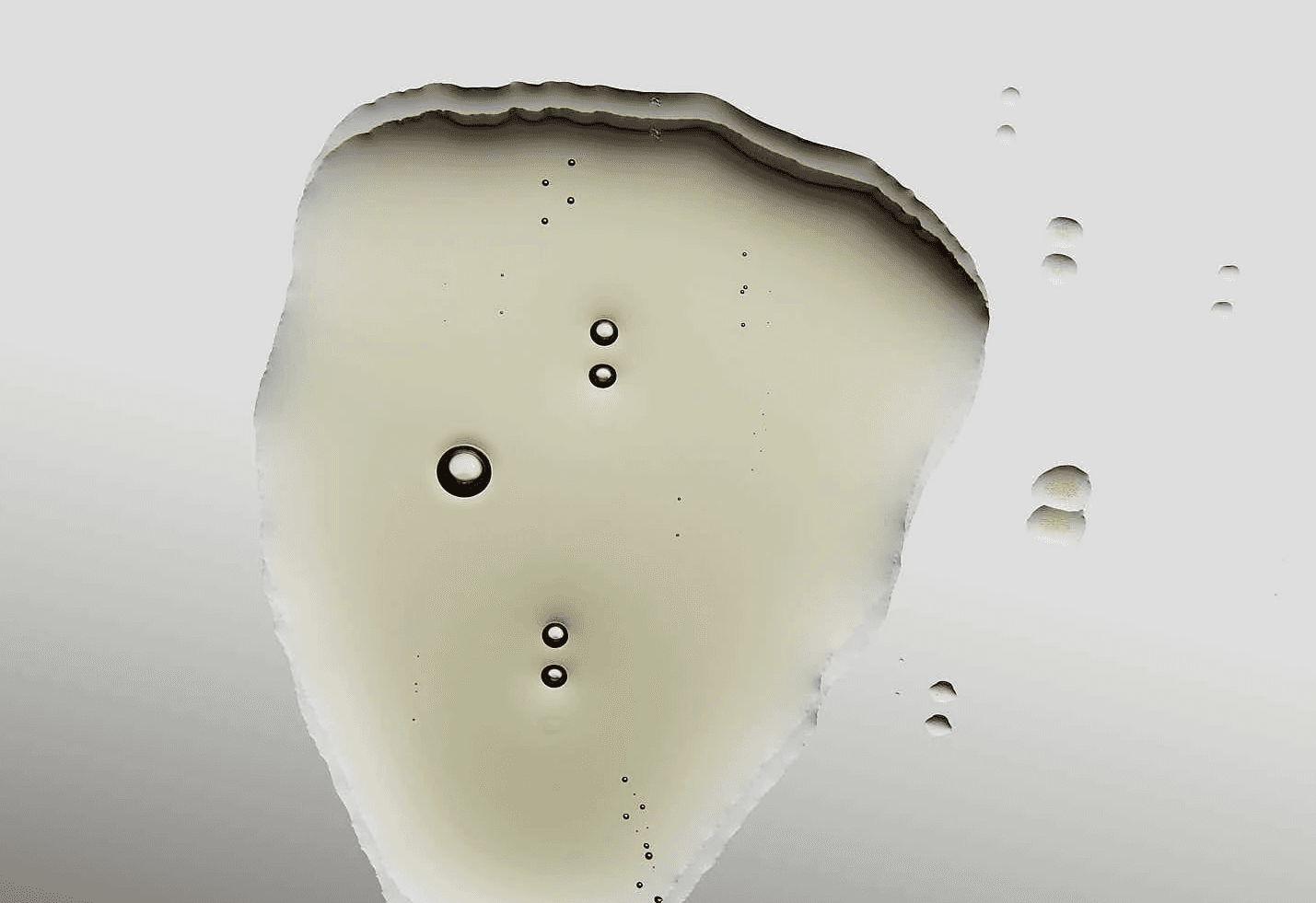 Close-up of light brown agate geode slice with unique patterns and textures.