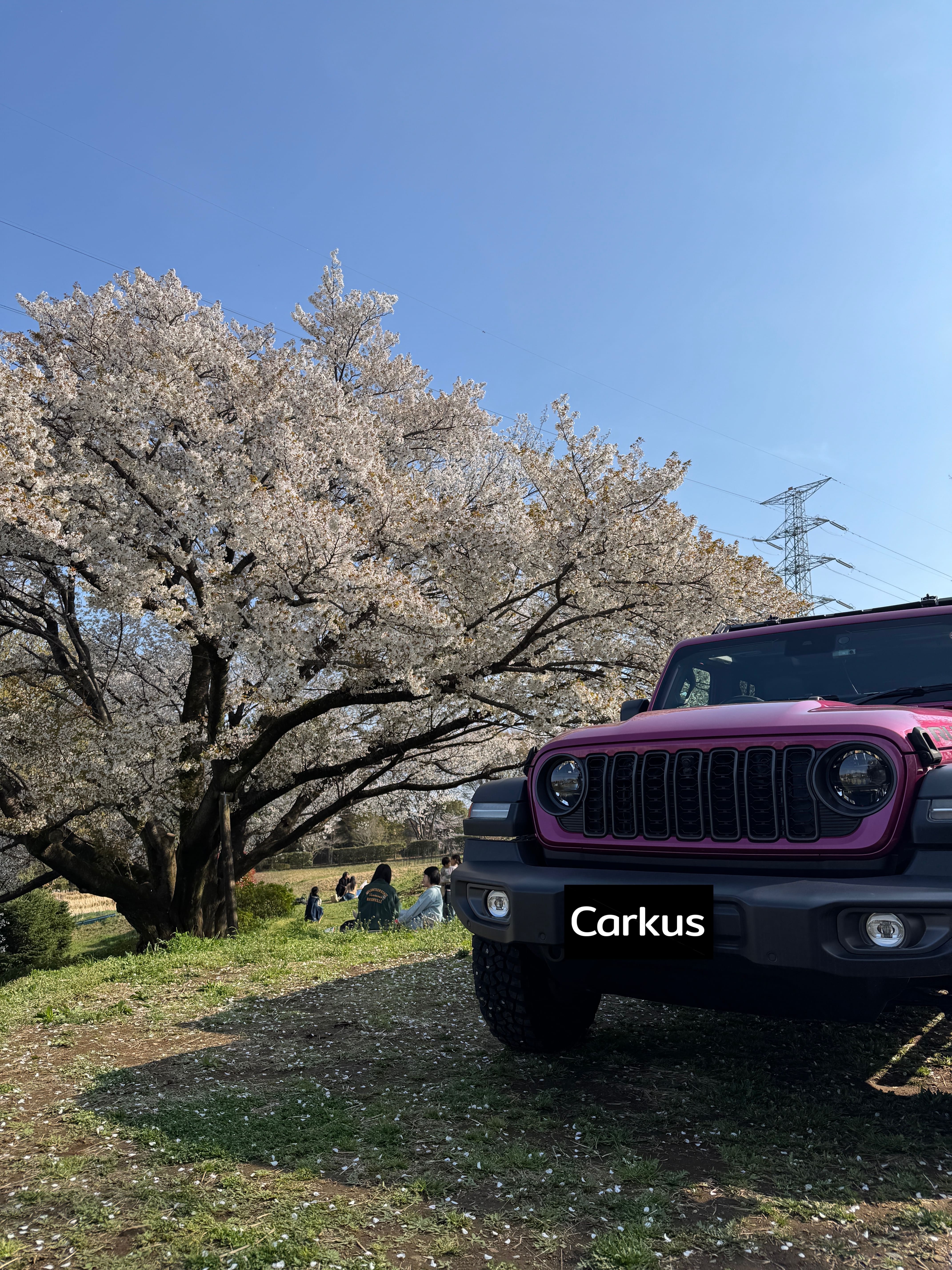 Carkusのプレスリリース画像