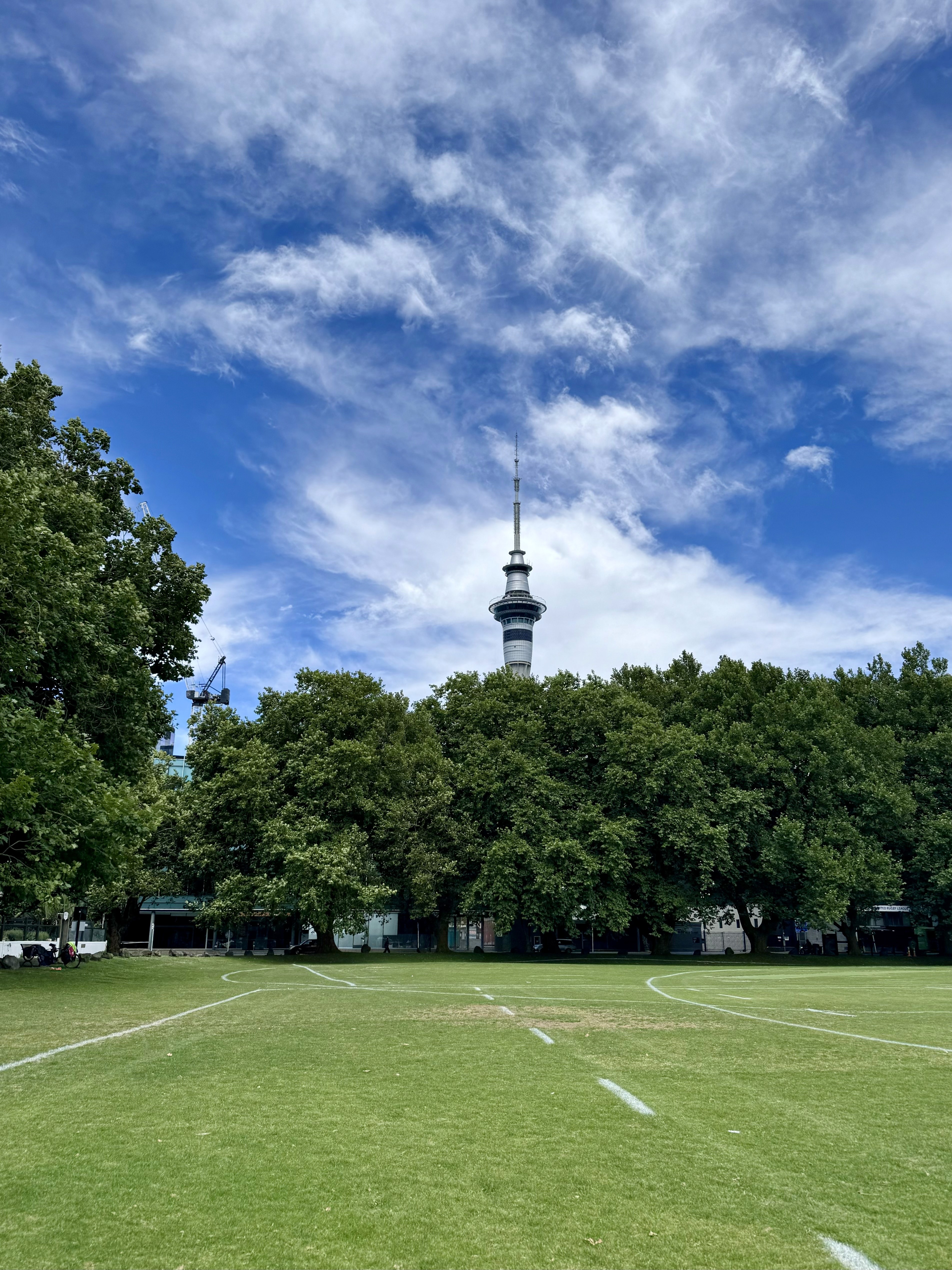 Sky Tower seen behind a tree cluster in Albert's Park