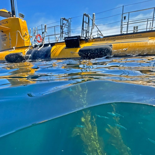 Partially submerged yellow submarine with visible sea plants underwater and clear sky above.