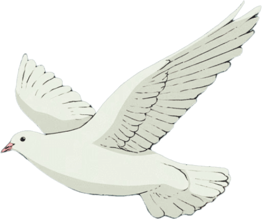 A flying bird with a beige and brown body and large, outstretched wings against a plain background.