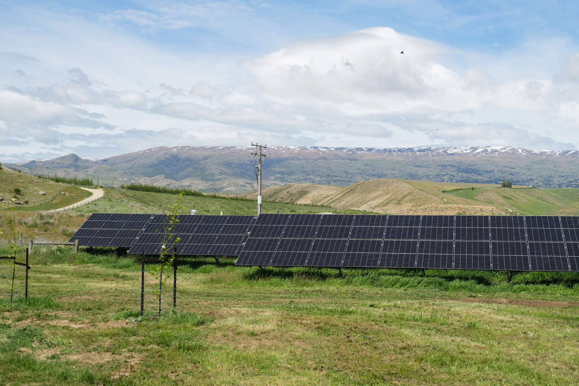 Alpine Pastures Group