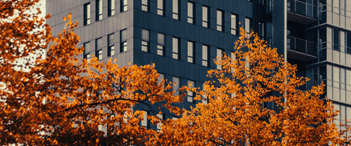 a tall building with trees in front of it