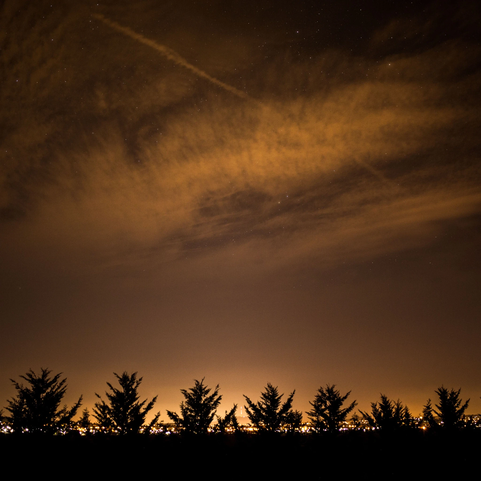 Trees silhouetted against Canberra’s nighttime streetlights, stars and clouds above.