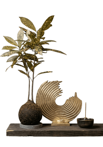 a plant, an incense and a decorative figure on a wooden shelf